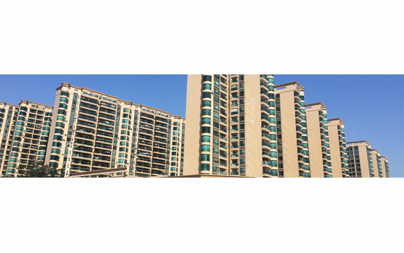 深圳的冬天終于來(lái)了，2015